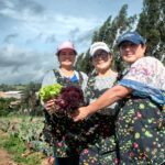 Ella Alimenta al Mundo – CARE Colombia