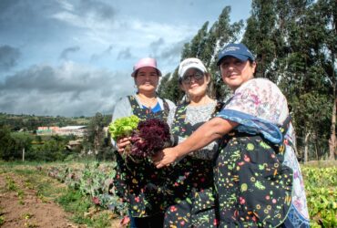 Ella Alimenta al Mundo – CARE Colombia