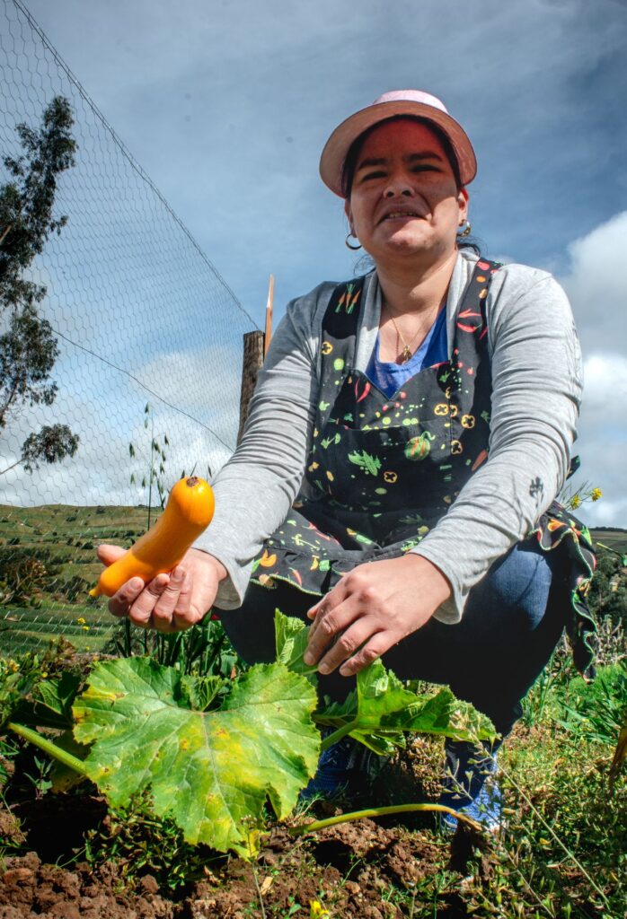 Ella Alimenta al Mundo Fase 2 – CARE Colombia